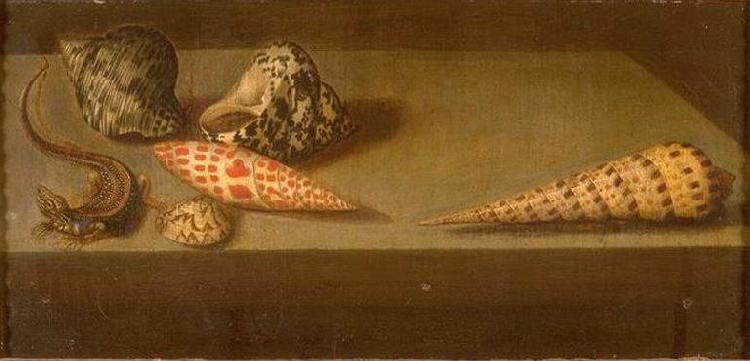 AST, Balthasar van der Lezards et coquillages